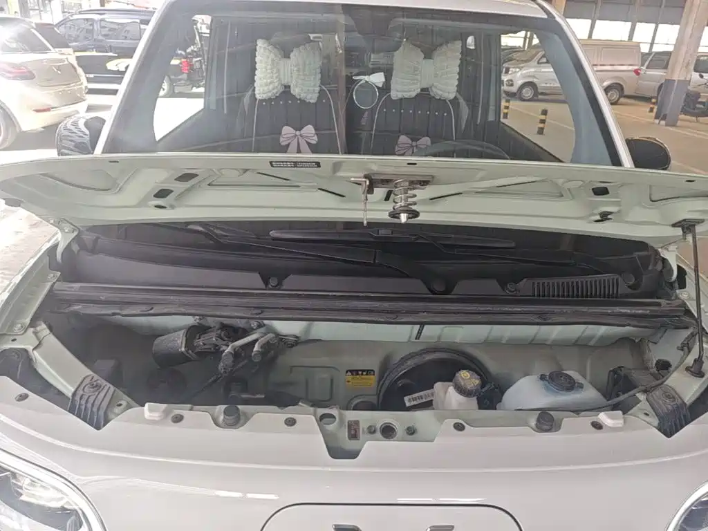 Wuling MINIEV — миниатюра 20