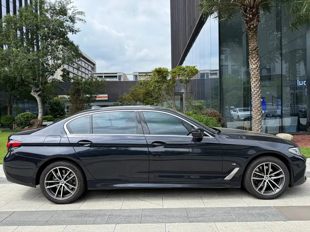 BMW 5 Series — миниатюра 4