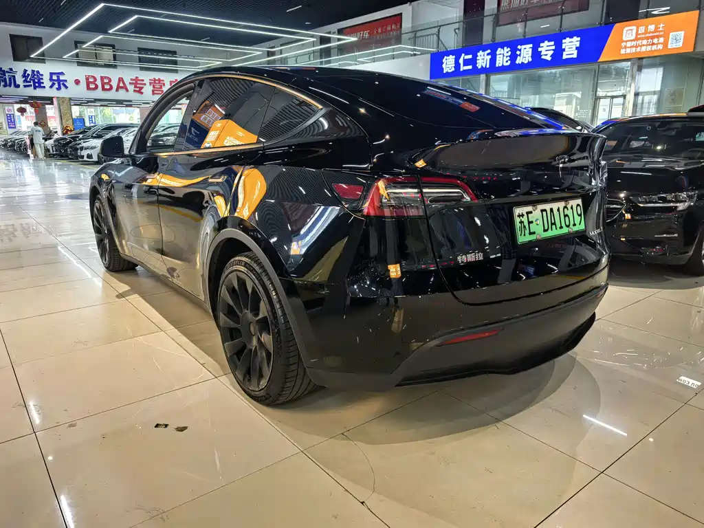 Tesla Model Y — миниатюра 7