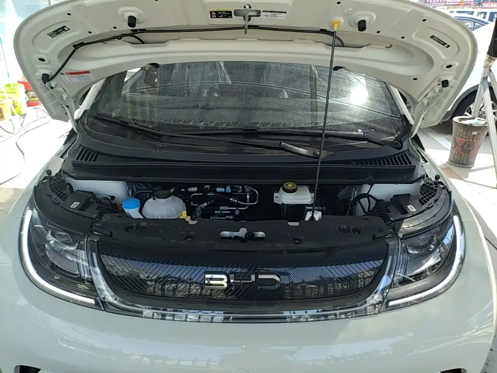BYD Dolphin — миниатюра 20