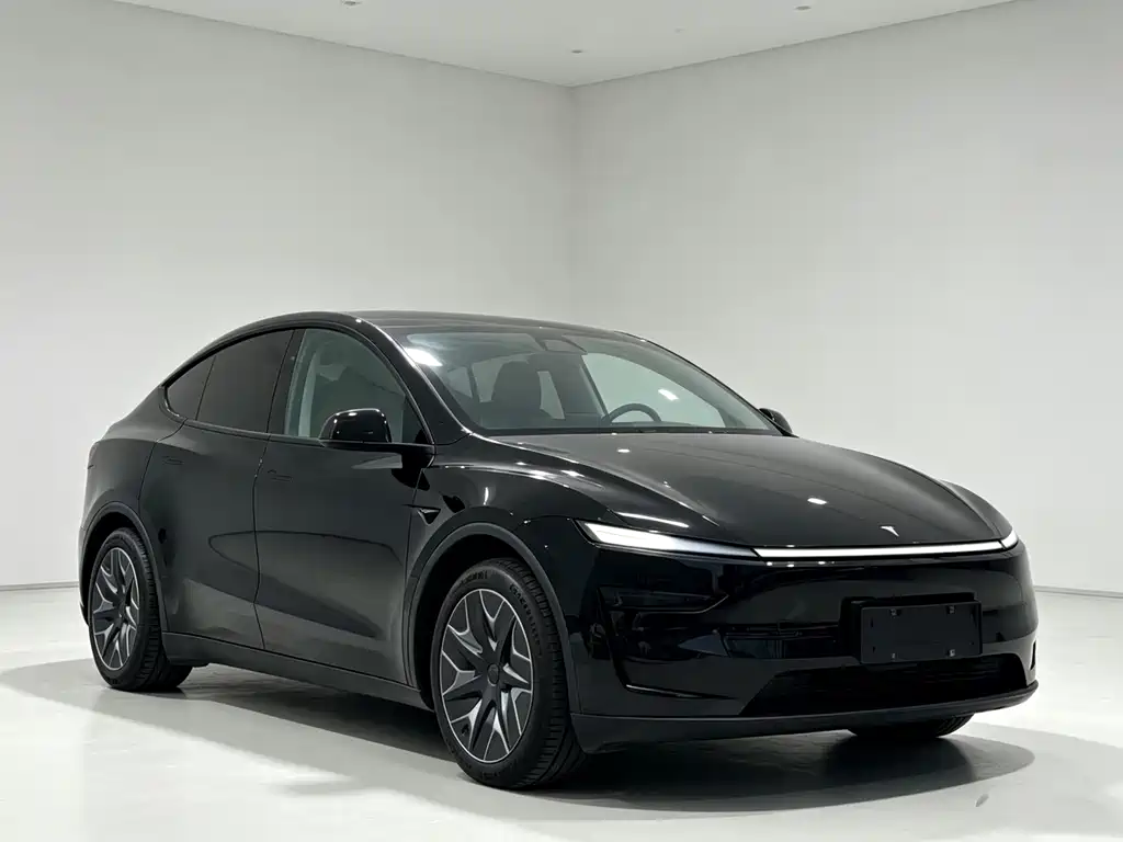 Tesla Model Y L — миниатюра 3