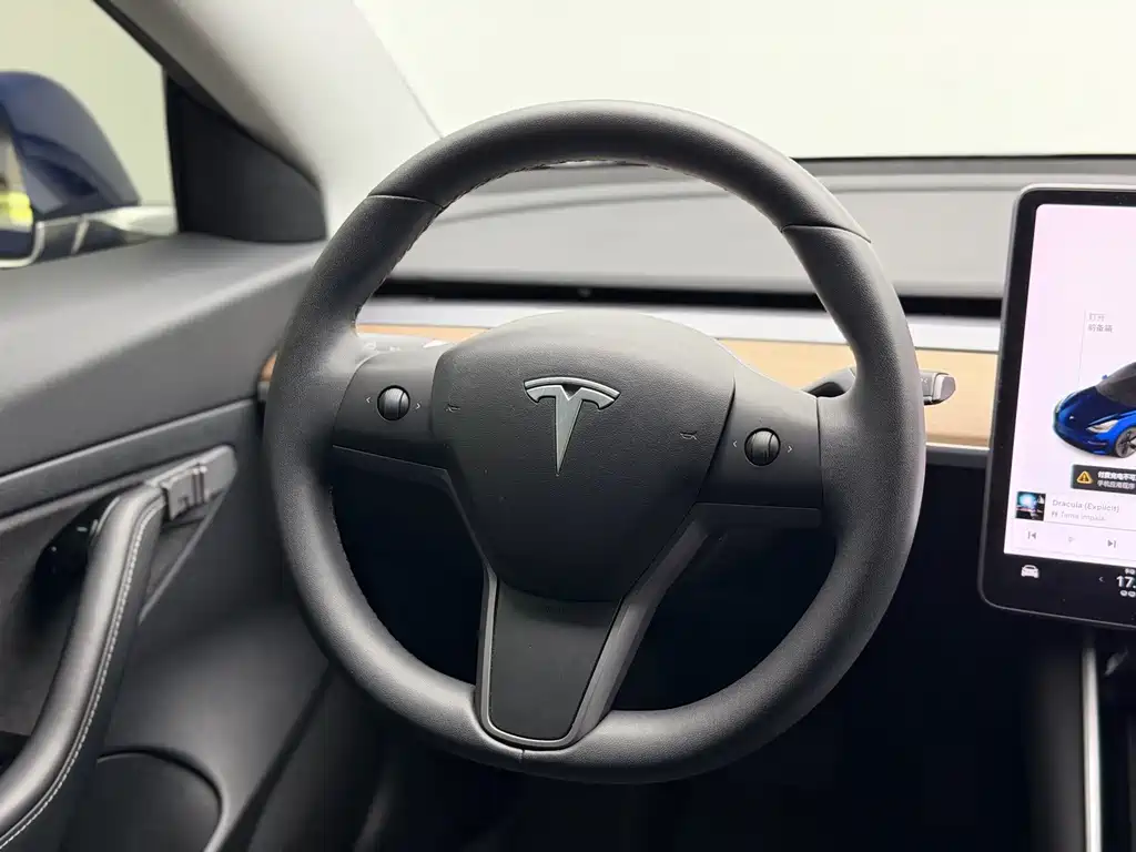 Tesla Model 3 — миниатюра 9