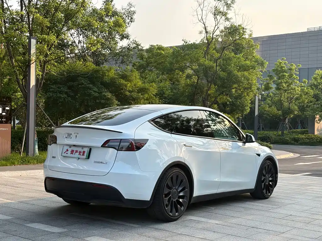 Tesla Model Y — миниатюра 4