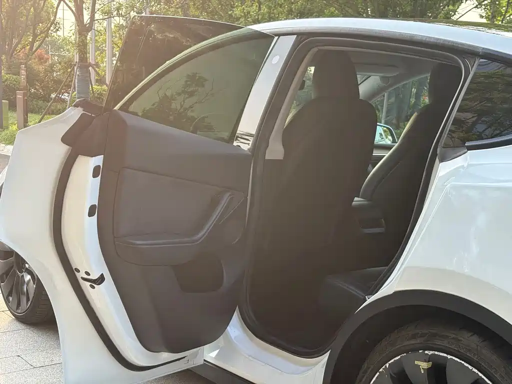 Tesla Model Y — миниатюра 10