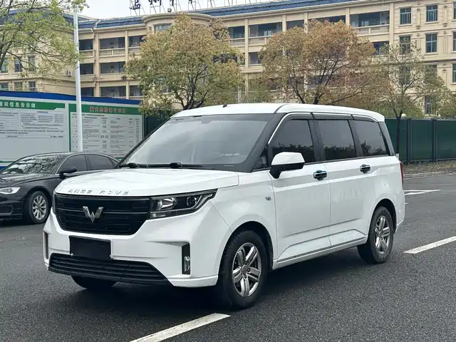 WULING WULING HONGGUANG PLUS