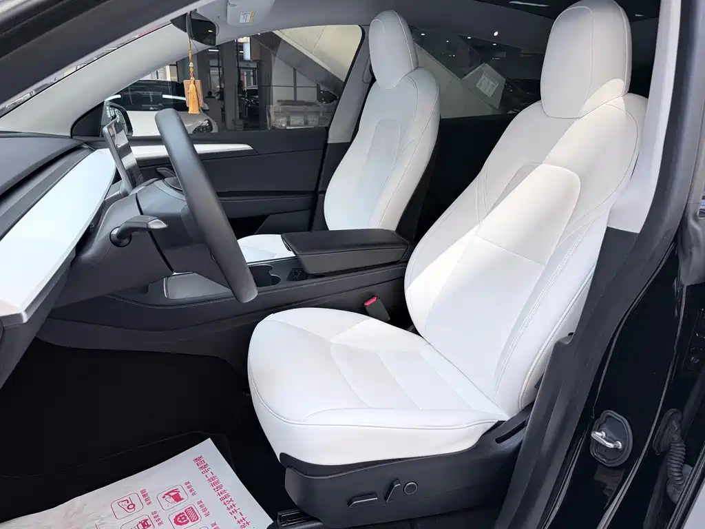Tesla Model Y — миниатюра 15