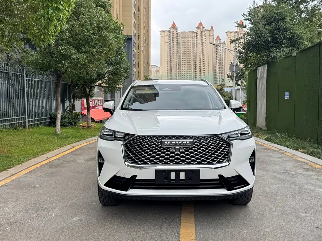Haval H6 — миниатюра 2