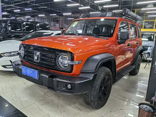 2025 TANK 300