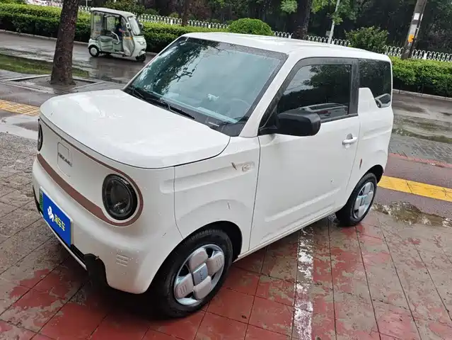 2025 Geely LC (Panda)