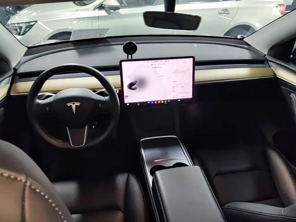 Tesla Model Y — миниатюра 10
