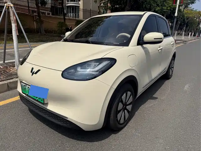 WULING WULING BINGGUO 2025