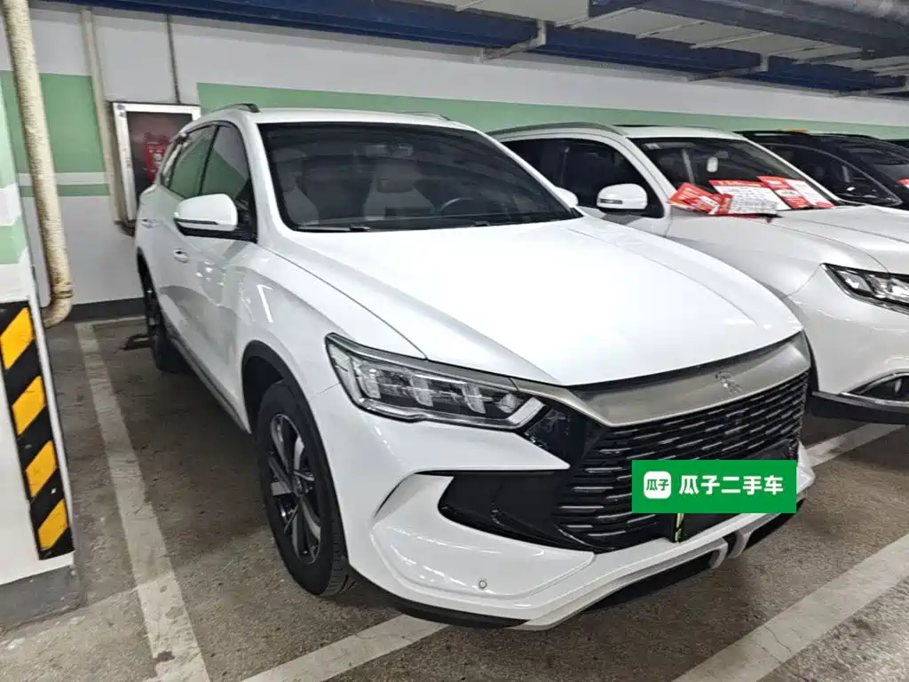 BYD Pro New Energy — миниатюра 4