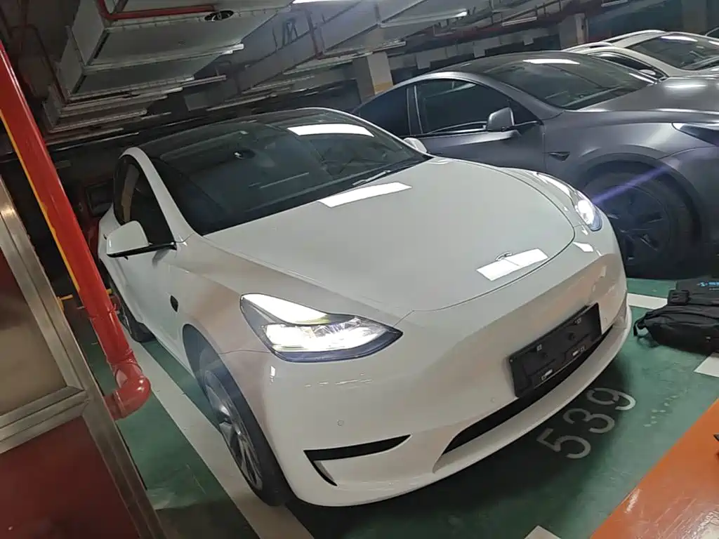 Tesla Model Y — миниатюра 4