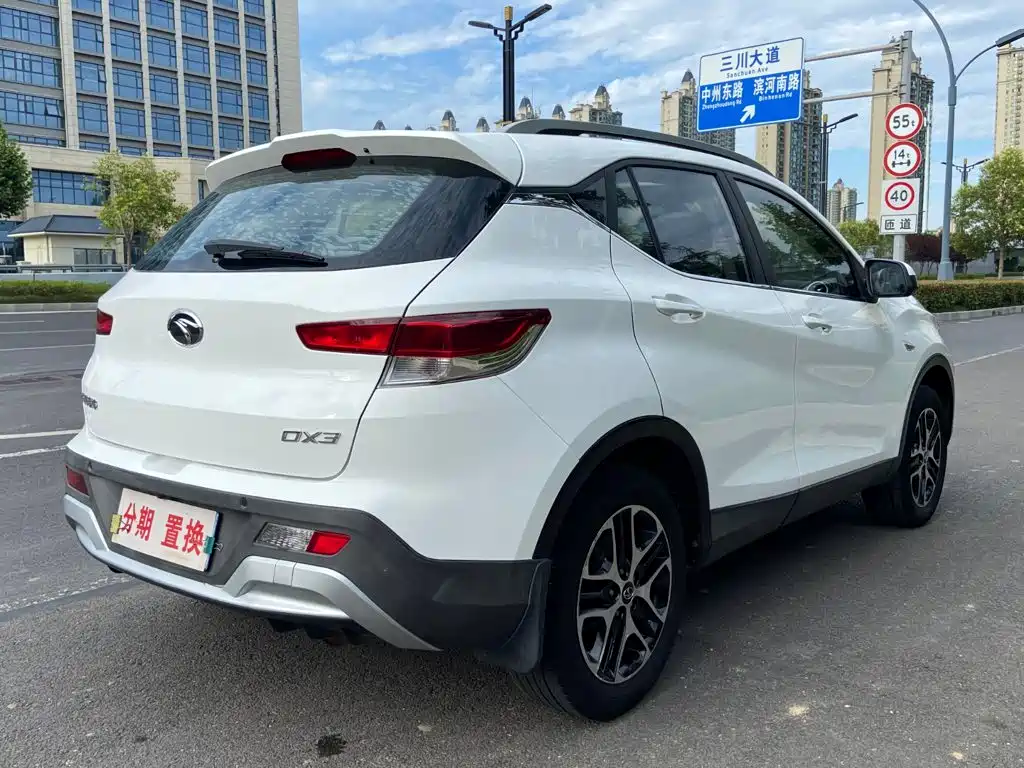 Soueast DX3 — миниатюра 12