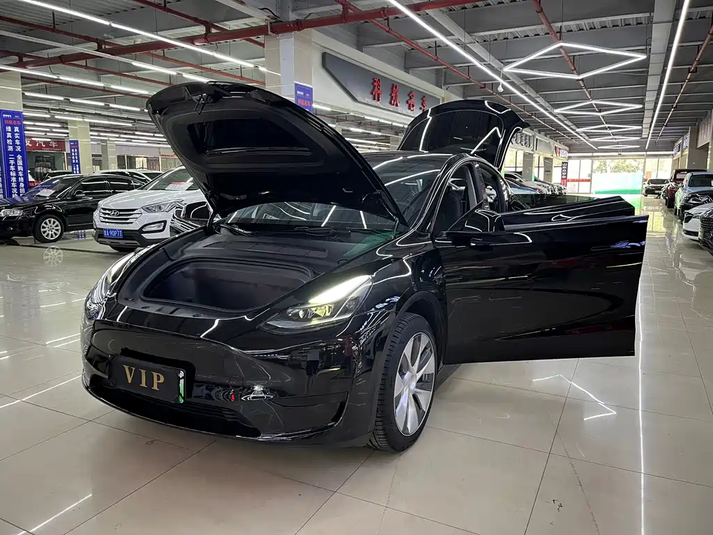 Tesla Model Y — миниатюра 17