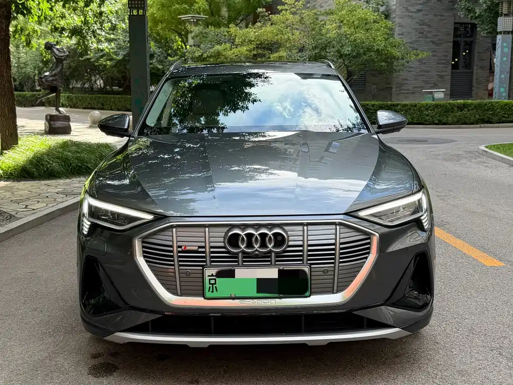 Audi e-tron (Import) — миниатюра 2