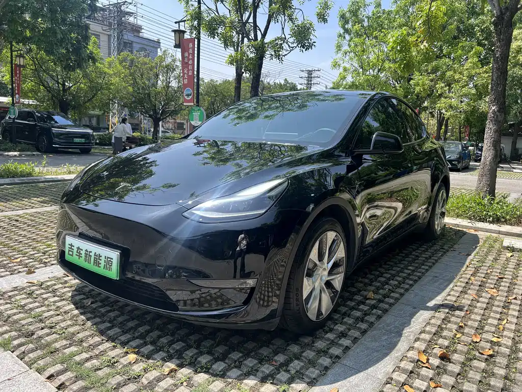 Tesla Model Y 2021