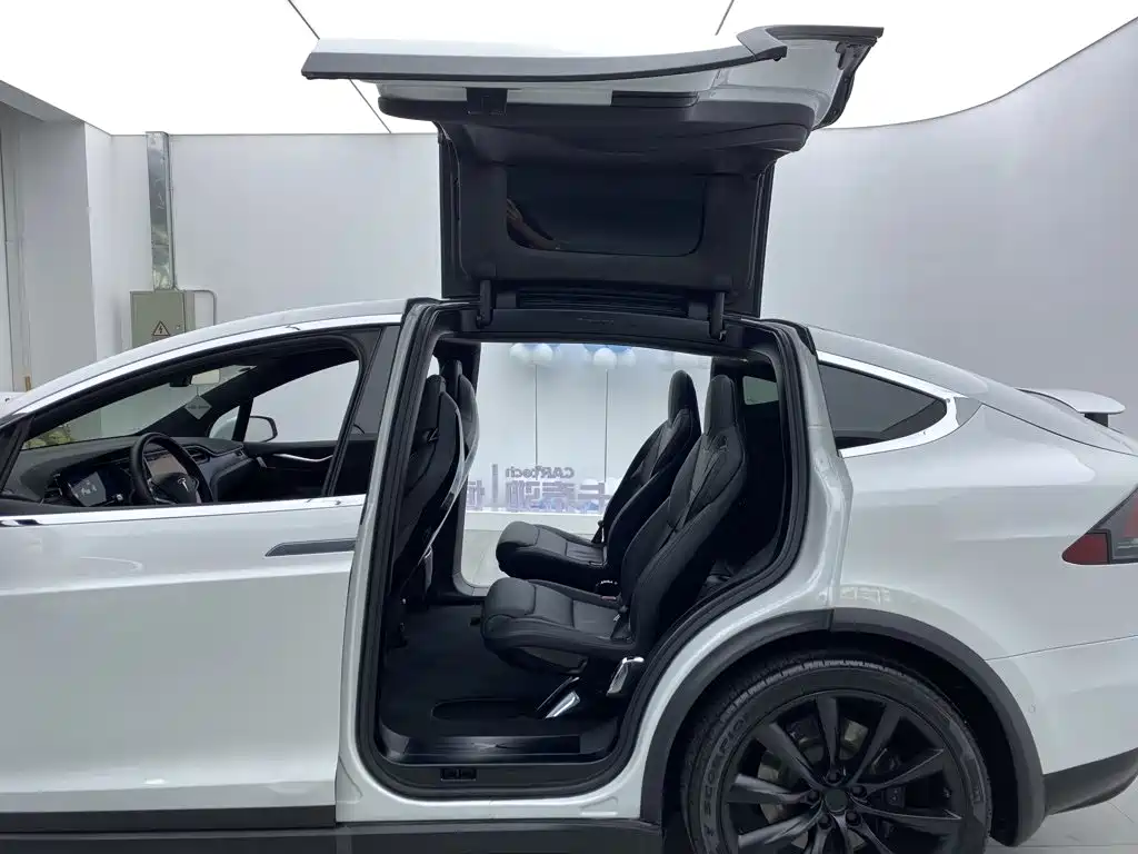 Tesla Model X — миниатюра 6