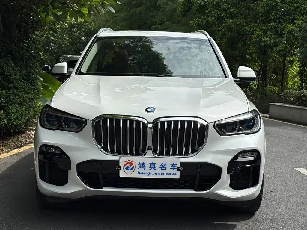 BMW X5 (Import) — миниатюра 3