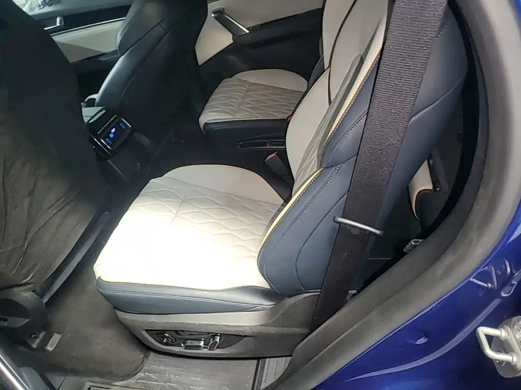 BYD Tang New Energy — миниатюра 17