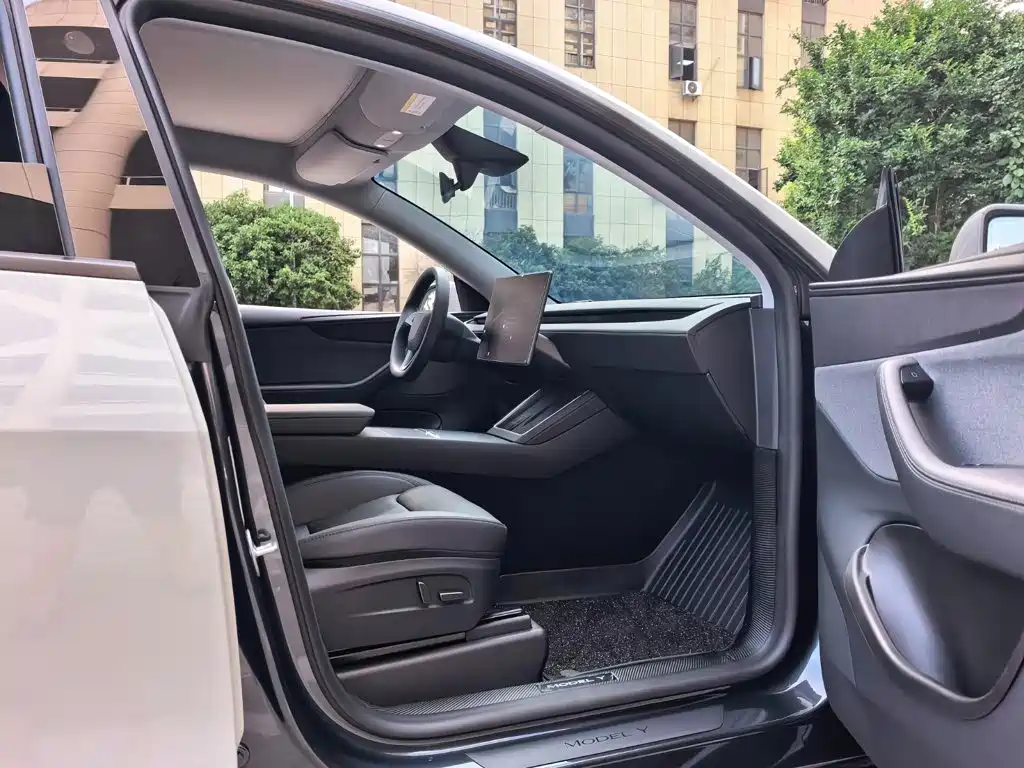 Tesla Model Y — миниатюра 19
