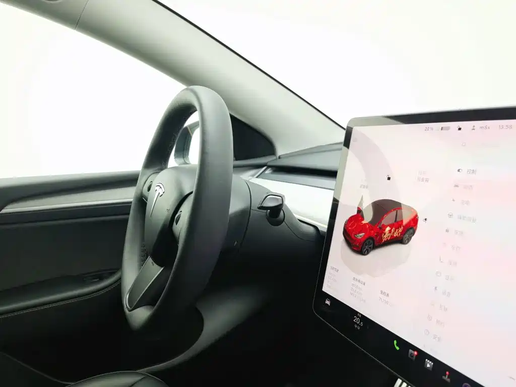 Tesla Model Y — миниатюра 22