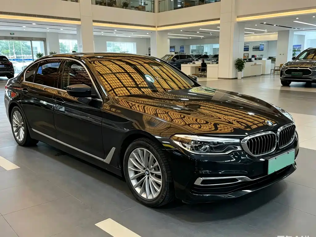BMW 5 Series 5 2020 530Le