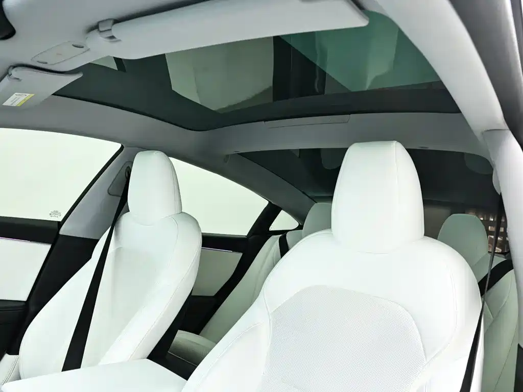 Tesla Model 3 — миниатюра 13