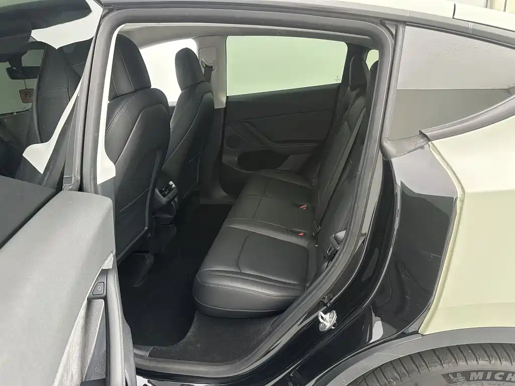 Tesla Model Y — миниатюра 13