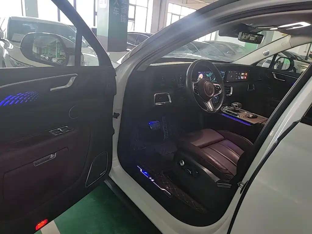 Hongqi Hongqi E-HS9 — миниатюра 18