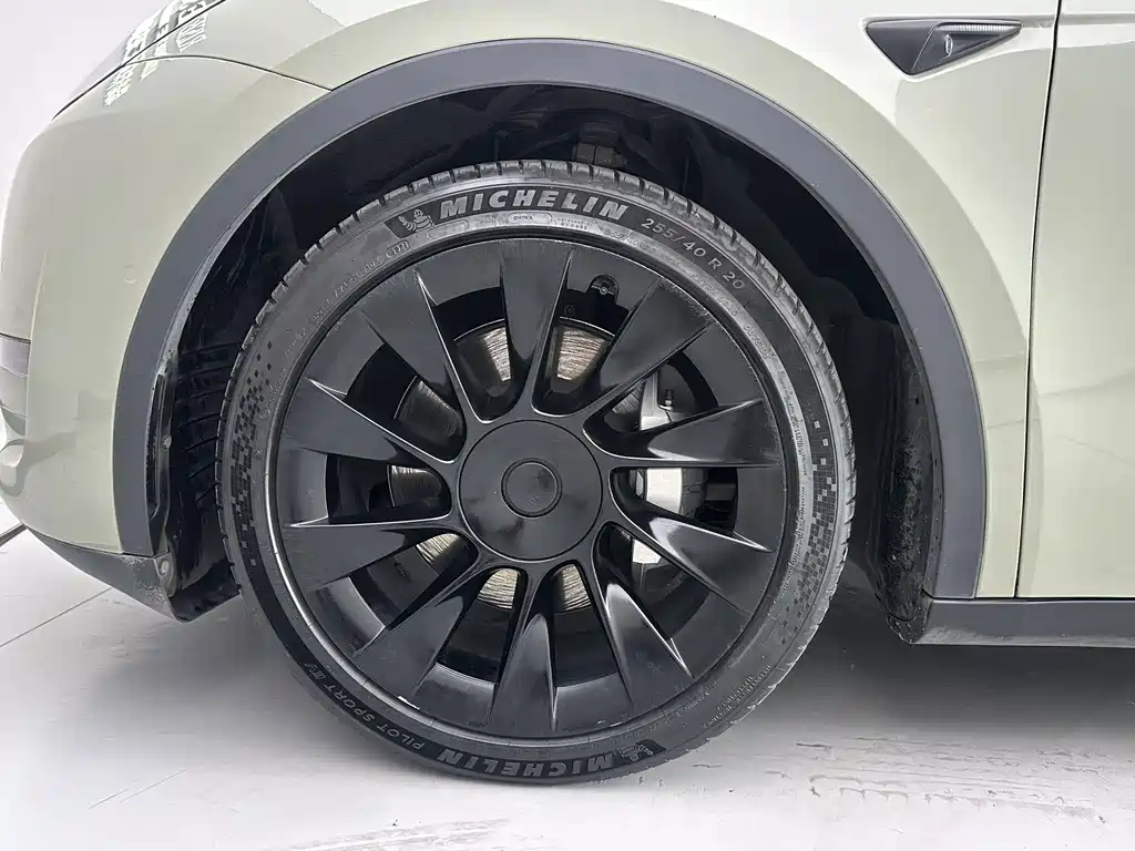 Tesla Model Y — миниатюра 6