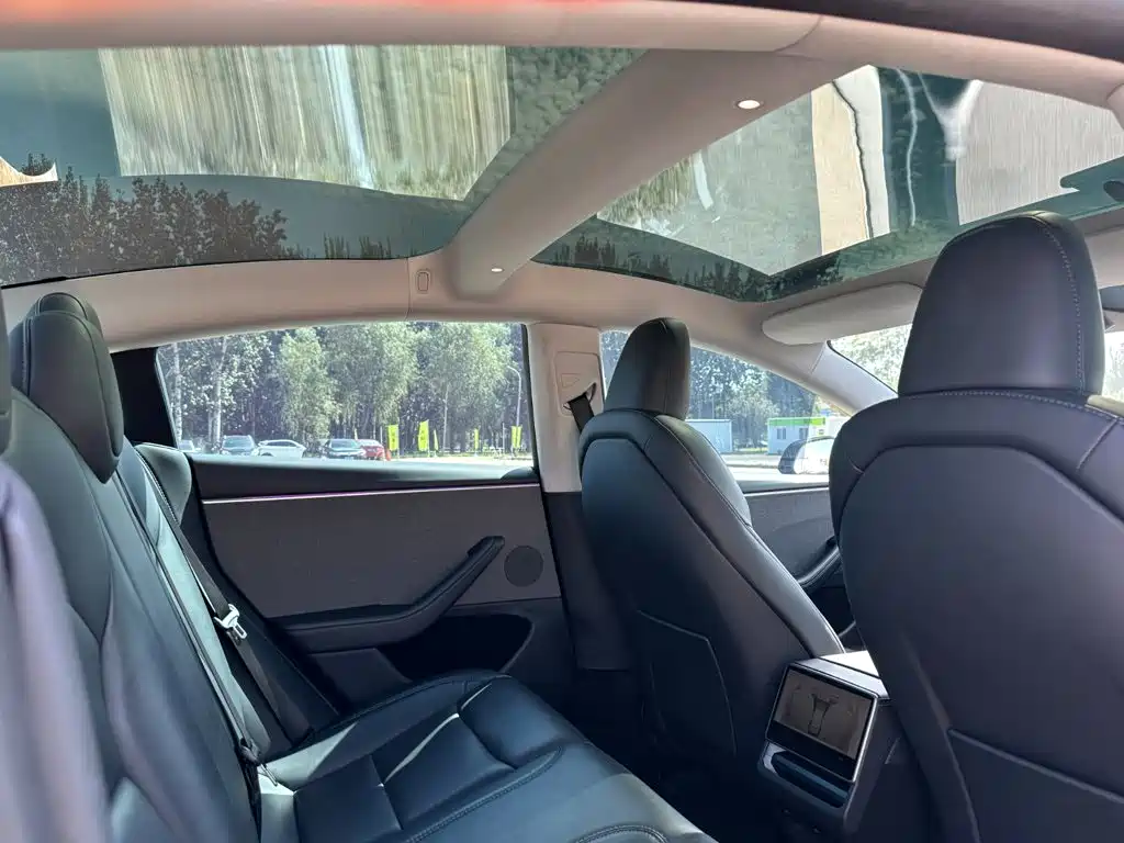 Tesla Model 3 — миниатюра 19