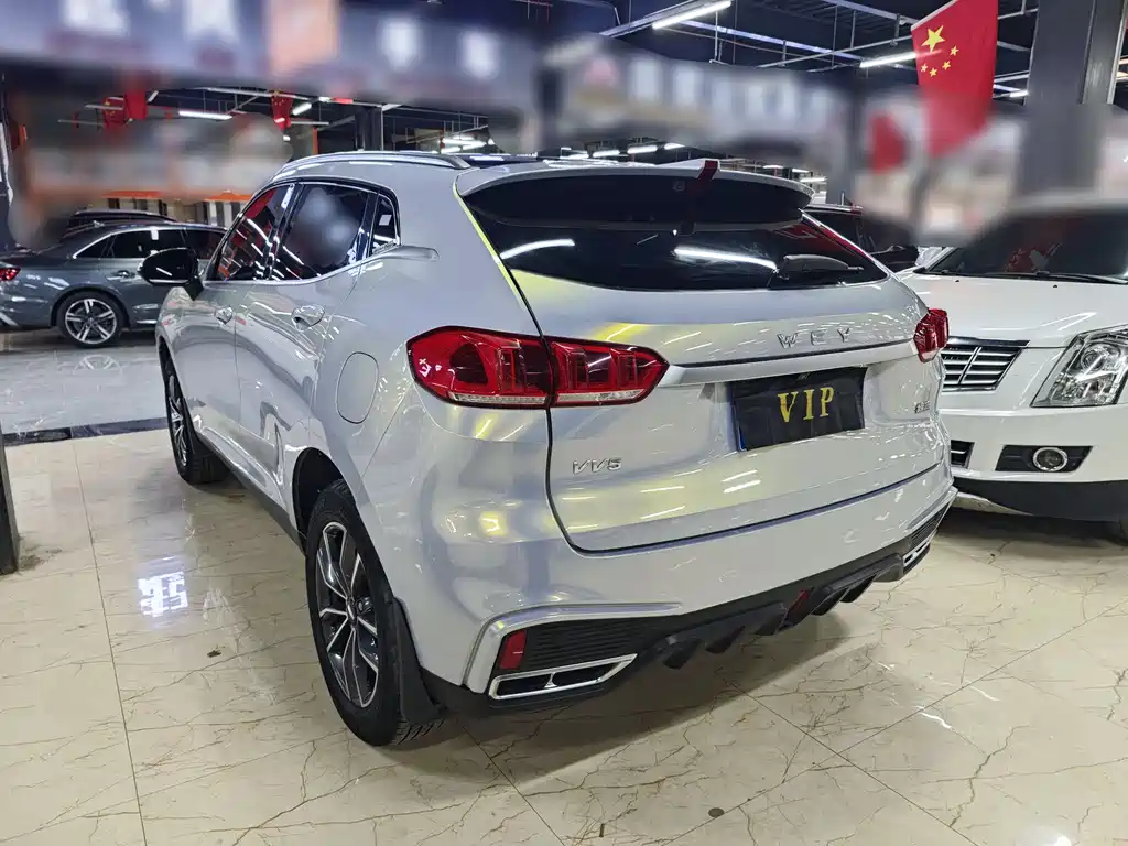 WEI PAI WEI BRAND VV5