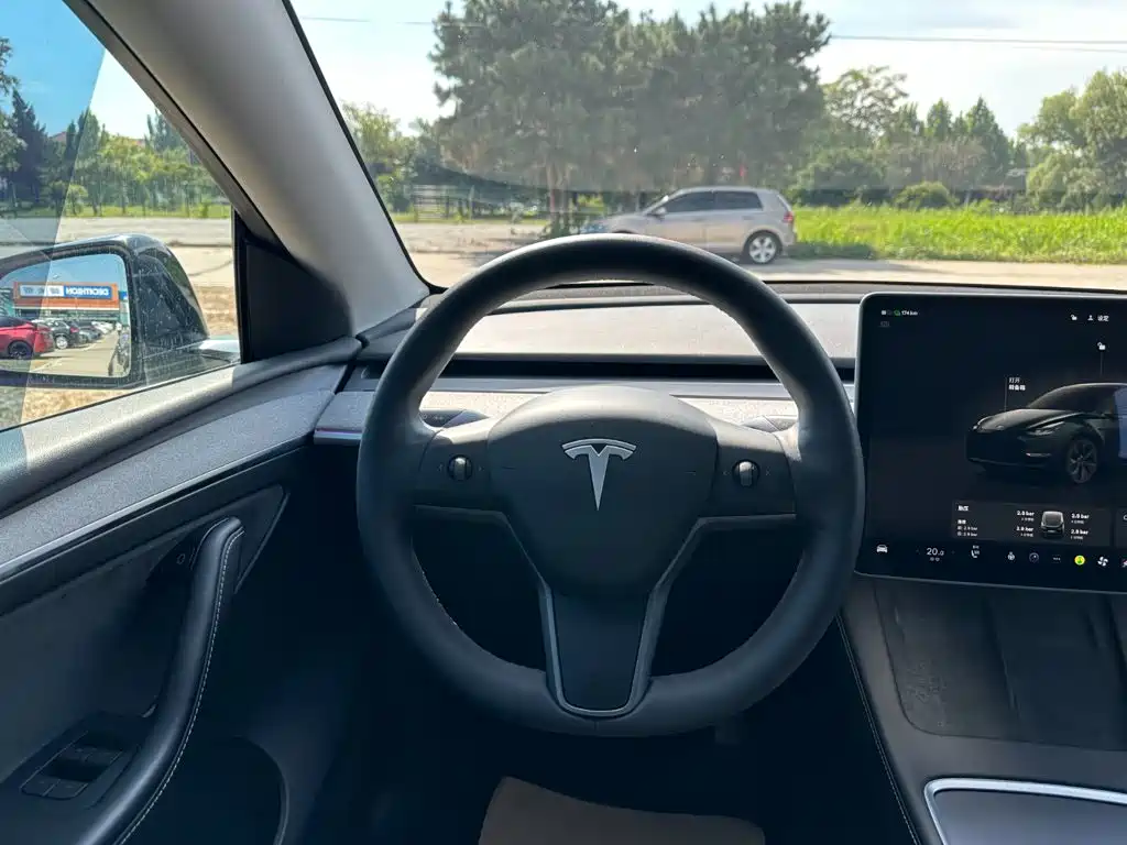 Tesla Model Y — миниатюра 20