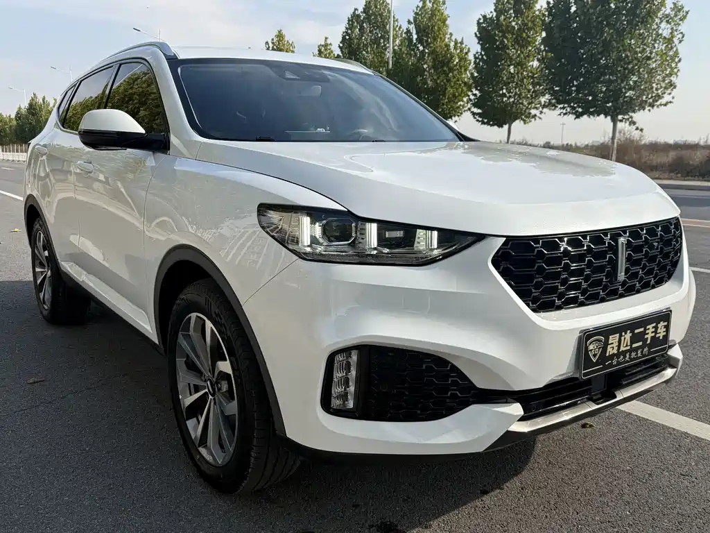 Wey Wey VV6 — миниатюра 3