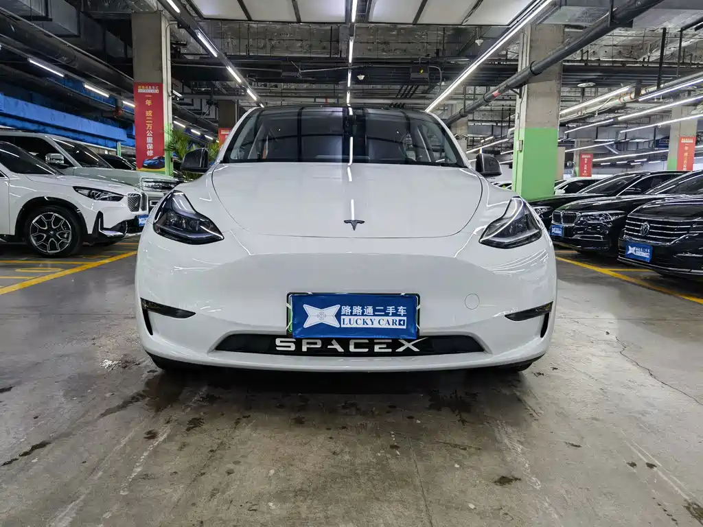Tesla Model Y — миниатюра 2