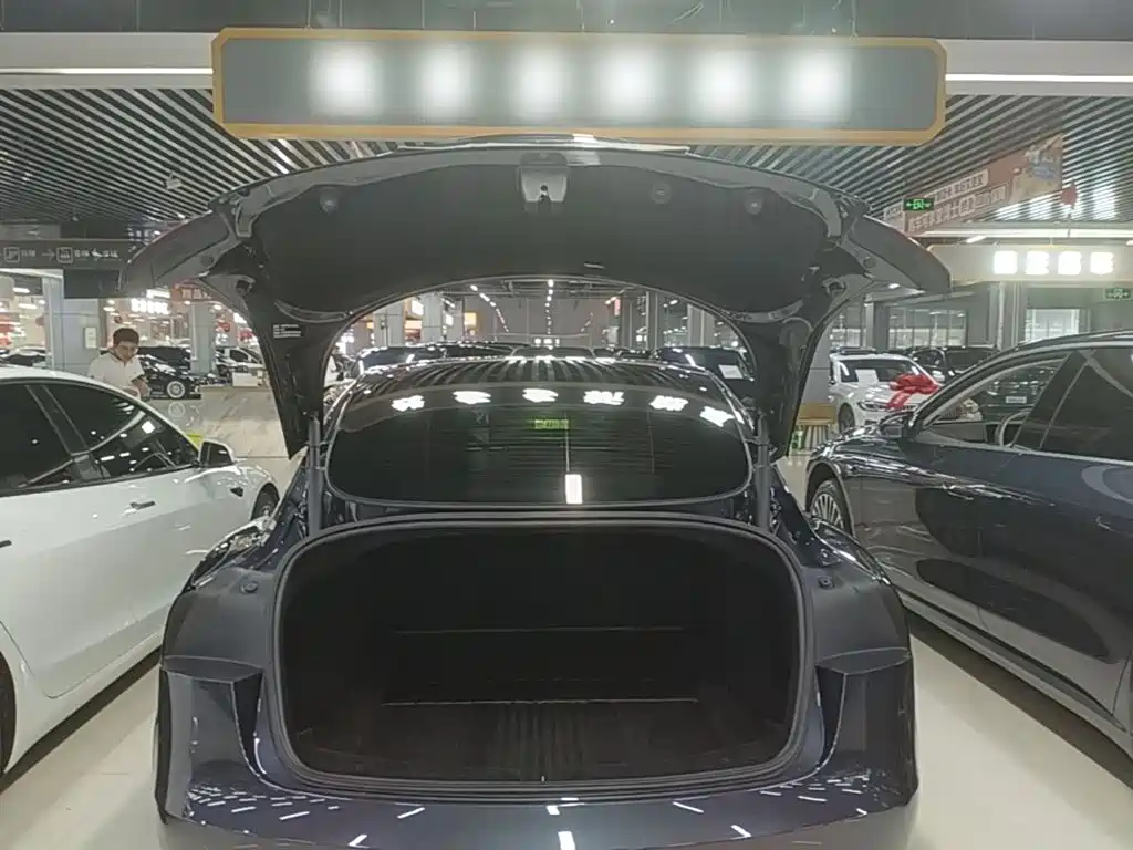 Tesla Model 3 — миниатюра 19