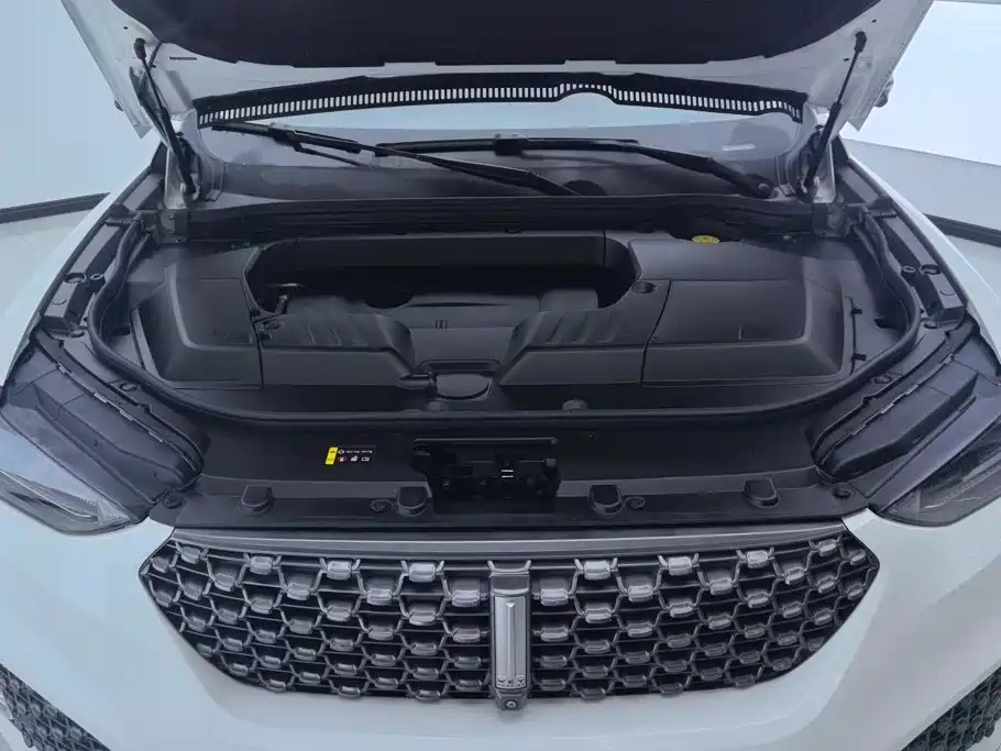 Wey Wey VV6 — миниатюра 10