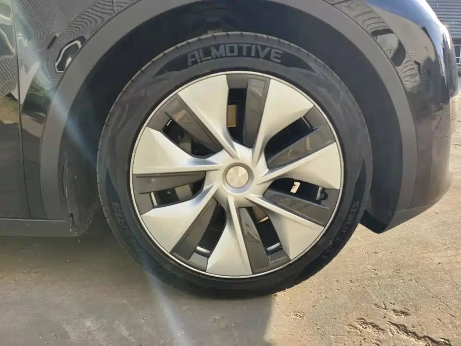 Tesla Model Y — миниатюра 6