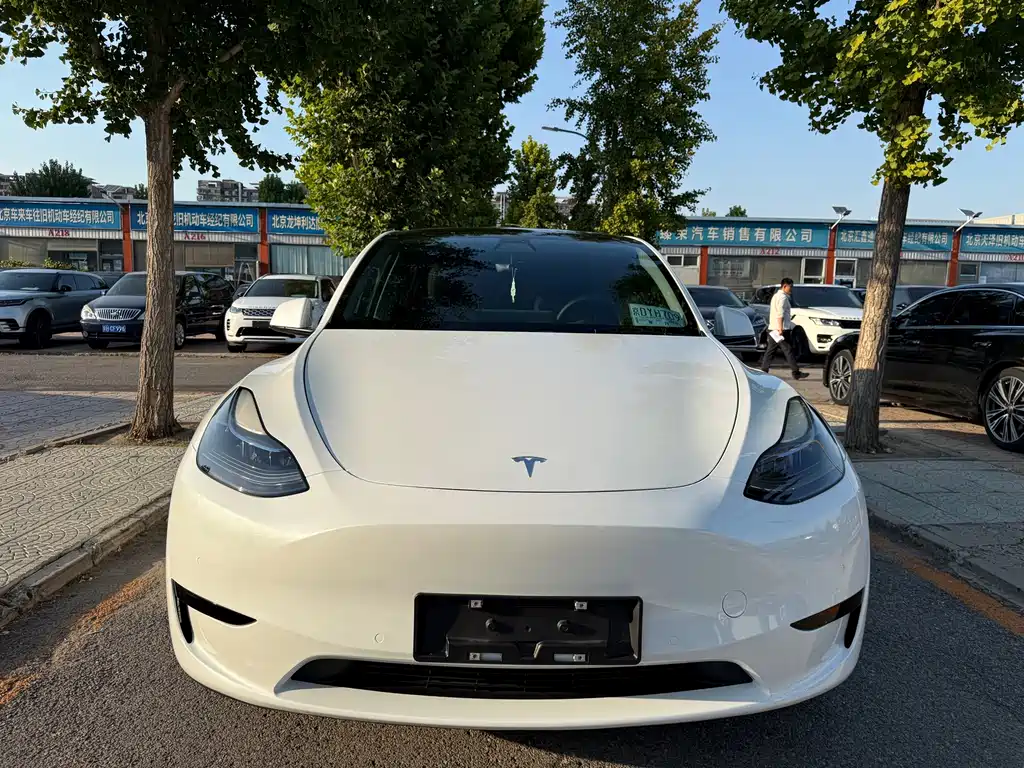 Tesla Model Y — миниатюра 2