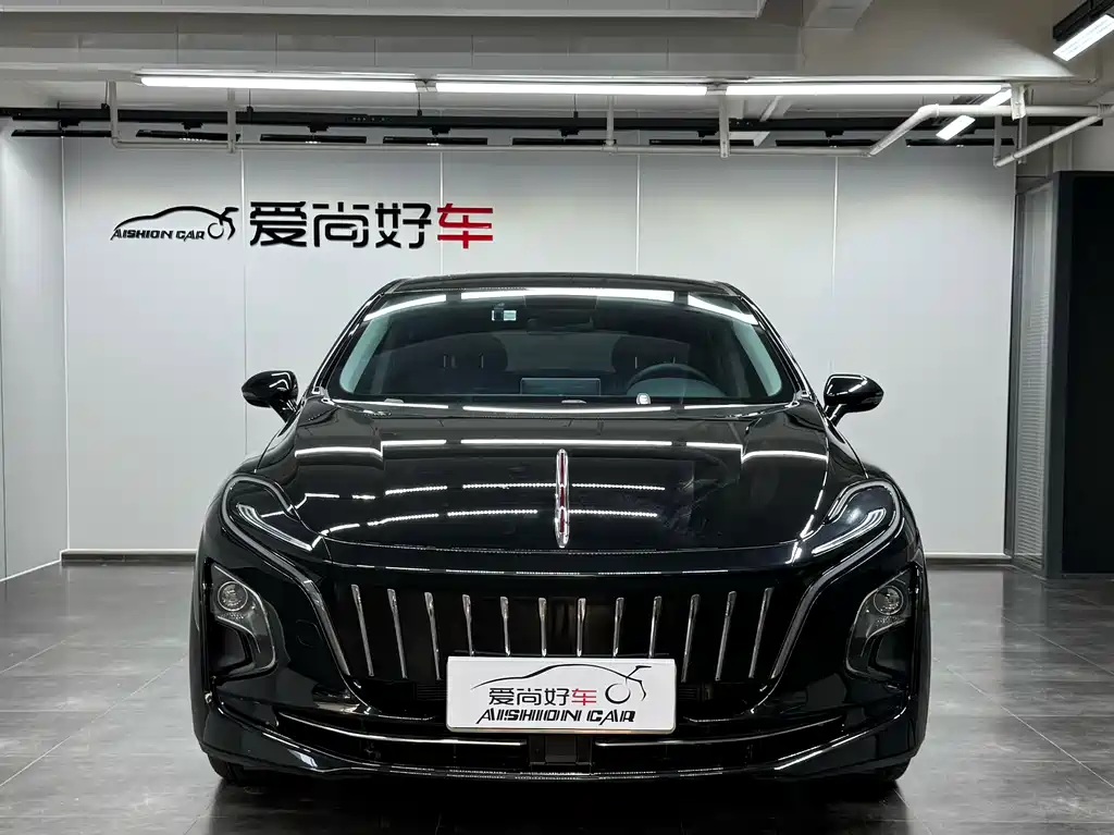 Hongqi Hongqi E-QM5 — миниатюра 2