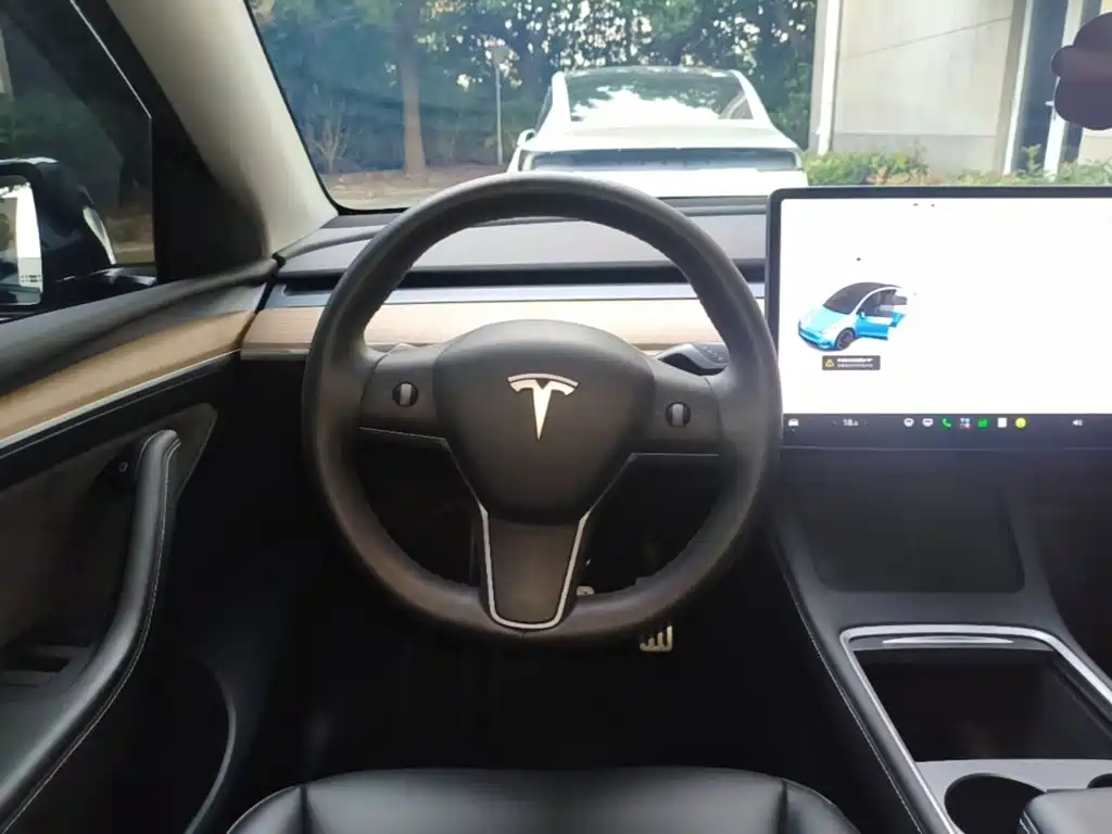 Tesla Model Y — миниатюра 11
