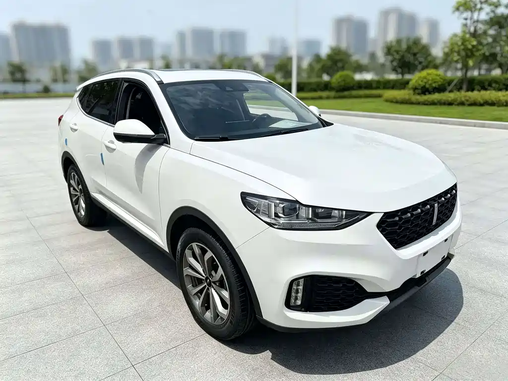 Wey Wey VV6 — миниатюра 3