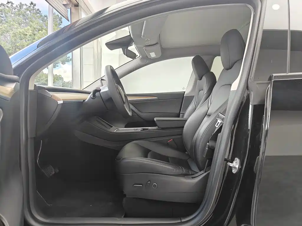 Tesla Model Y — миниатюра 9