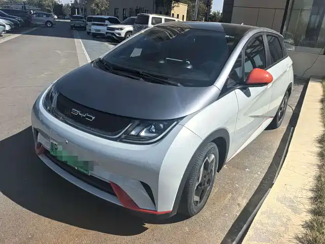 BYD Dolphin