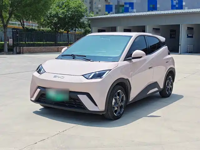 2024 BYD Seagull