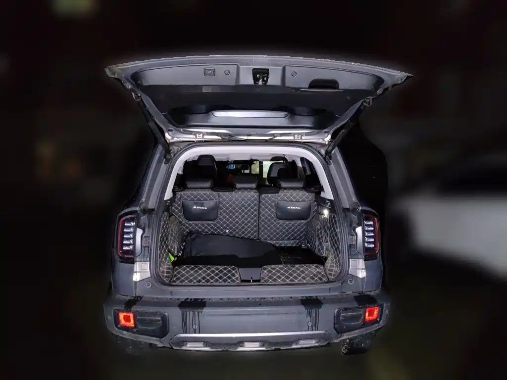 Haval Big Dog — миниатюра 15