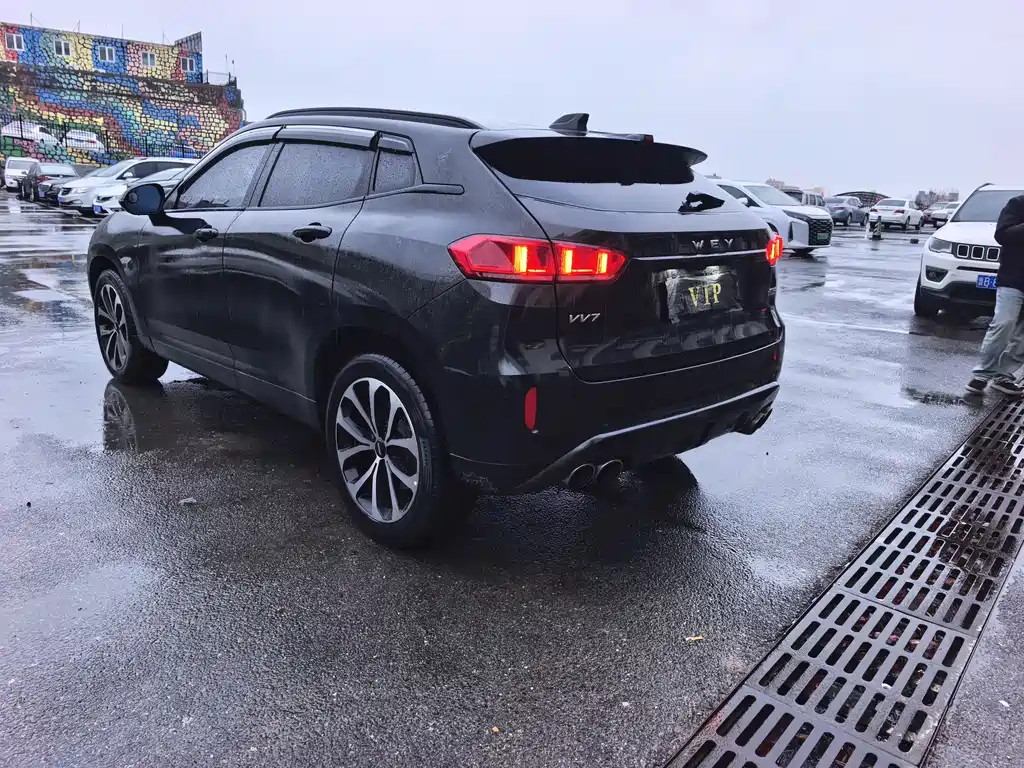 WEI PAI WEI BRAND VV7