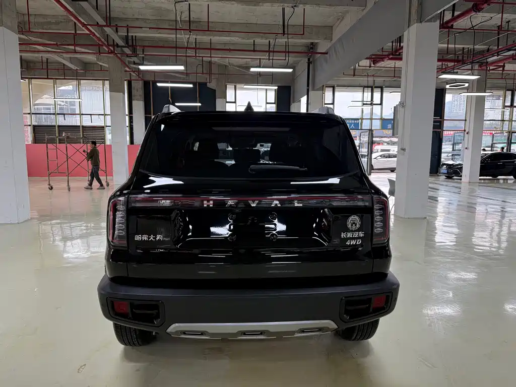 HAVAL BIG DOG