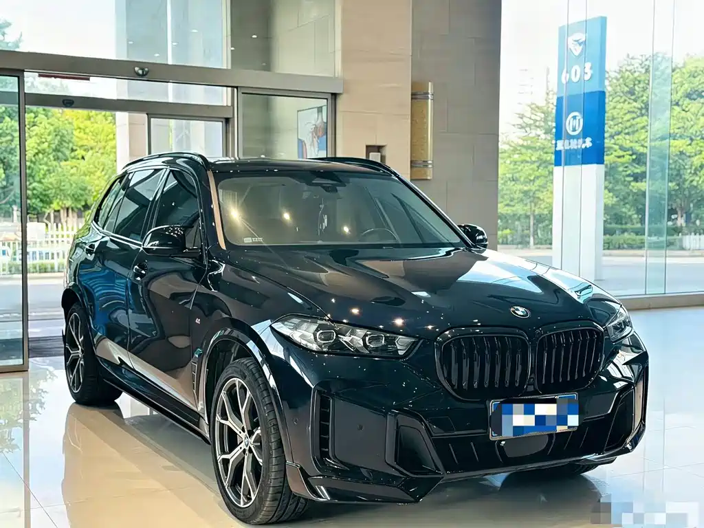 BMW X5 — миниатюра 3